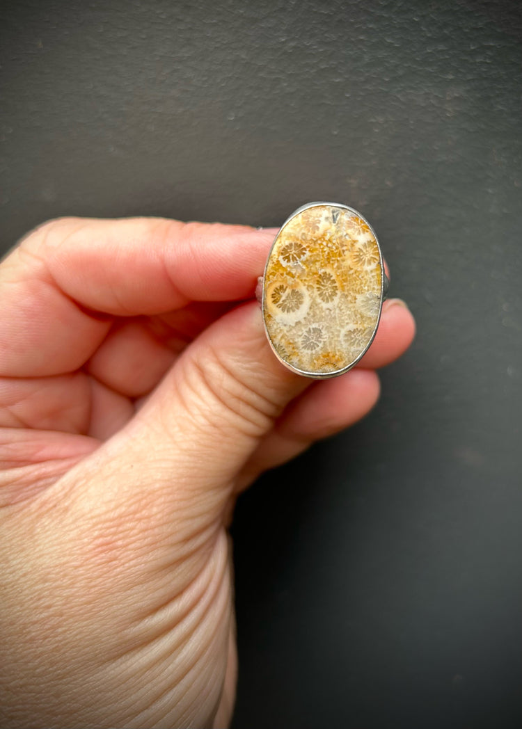Fossil ring - #3